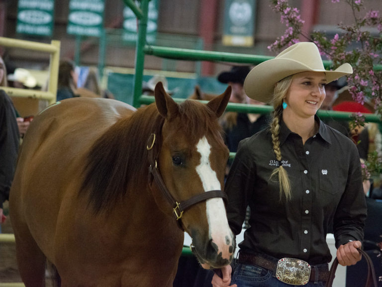 Legends of Ranching Performance Horse Sale breaks records