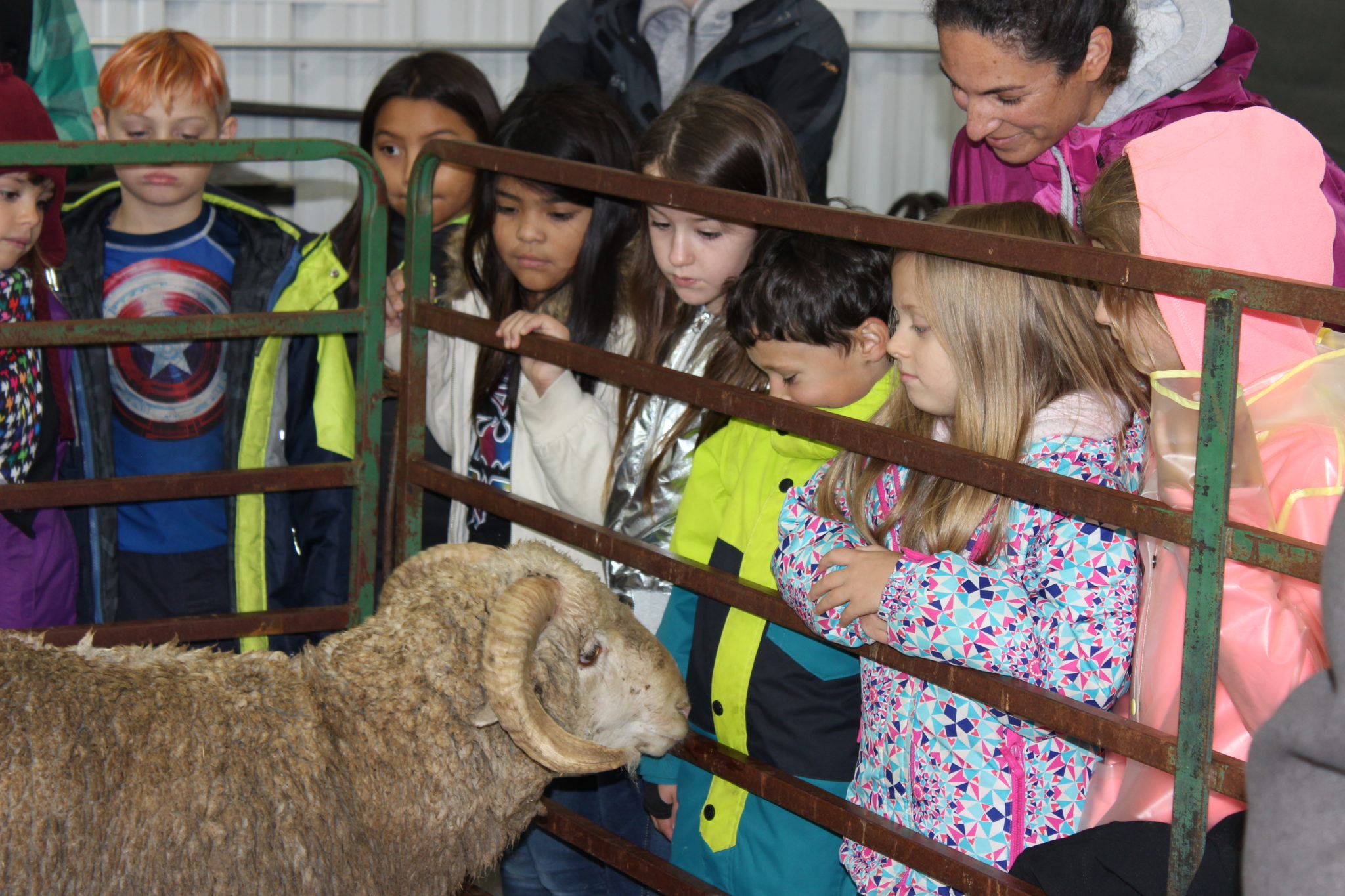 3rd graders attend 2017 Ag Adventure