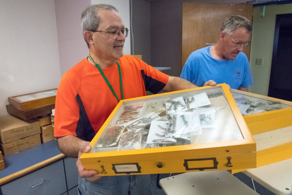 Chuck Harp moving box of specimens