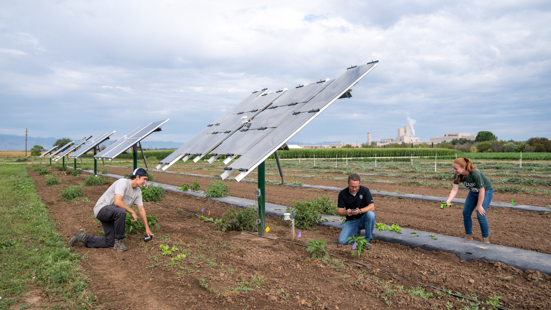 researchers with solar panels in crop field