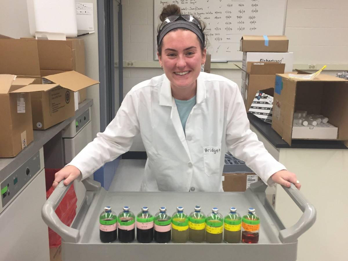 Bridget mcgivern with soil samples in the lab