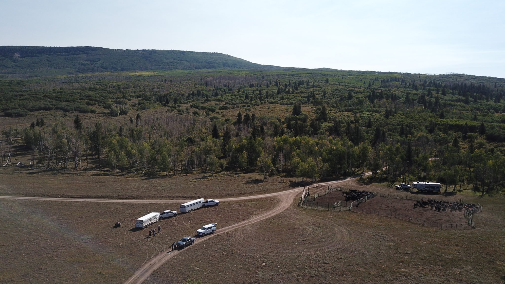drone shot of rangeland