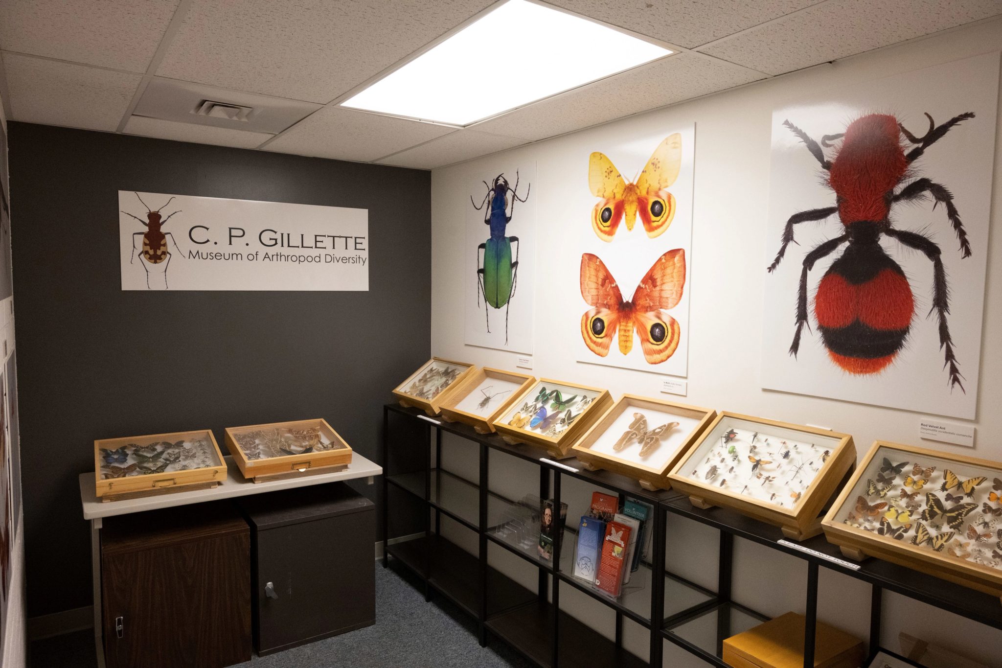 C.P. Gillette Museum of Arthropod Diversity