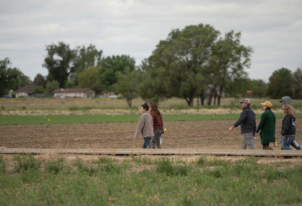 group walks along in a farm field