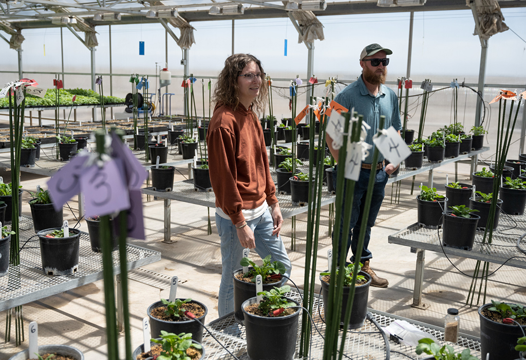students look at potted plants in a greenhouse