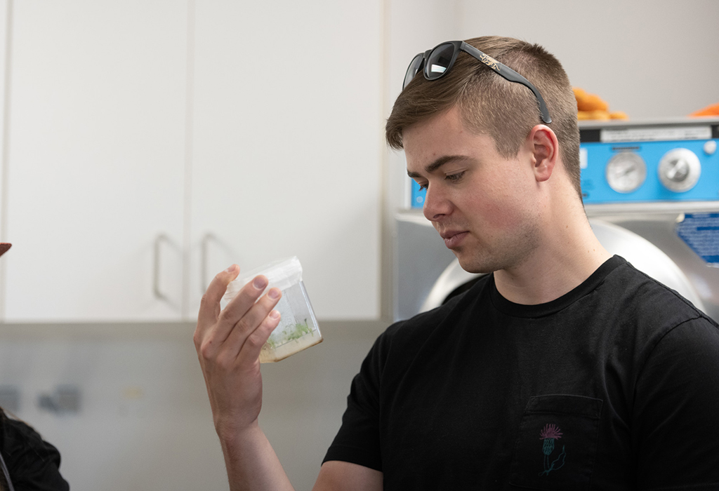 student looking at sprouting plant in clear plastic box