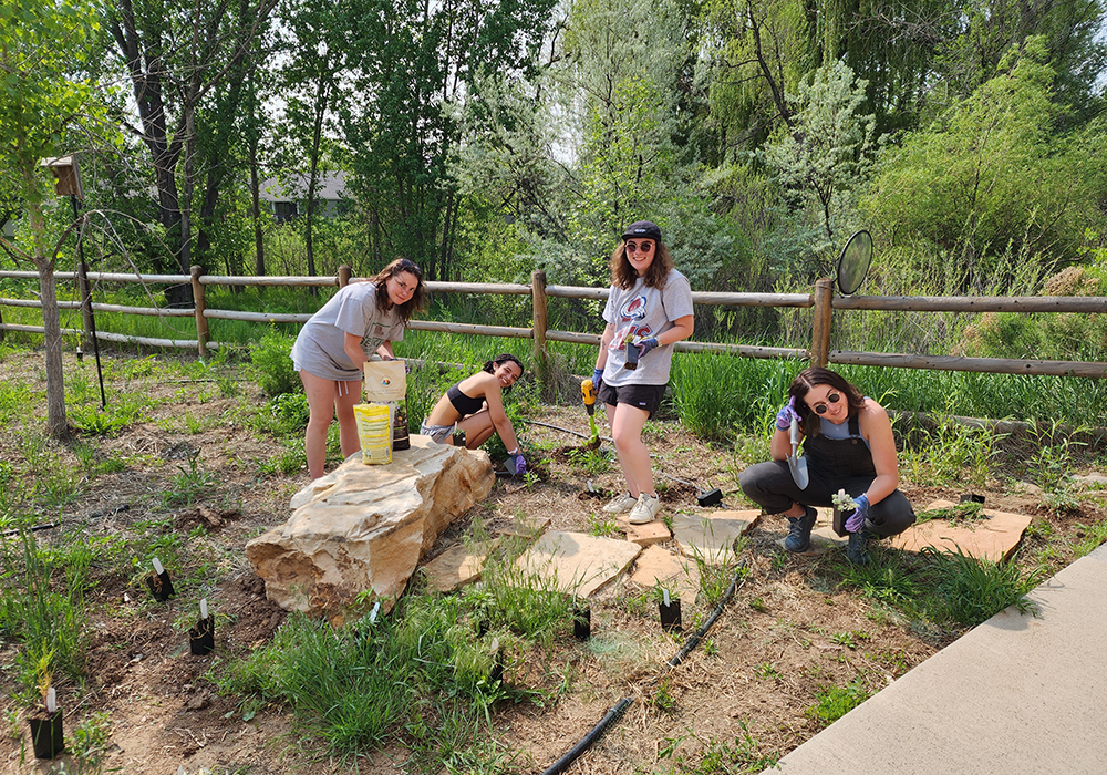 Four students work in a garden.